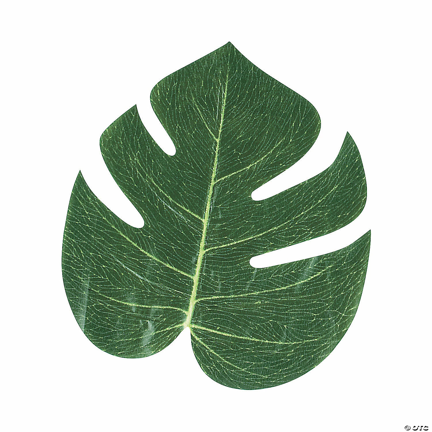 Deals π Artificial Tropical Leaves - 12 Pc. π 5 Deals π Artificial Tropical Leaves - 12 Pc. π - Image 3