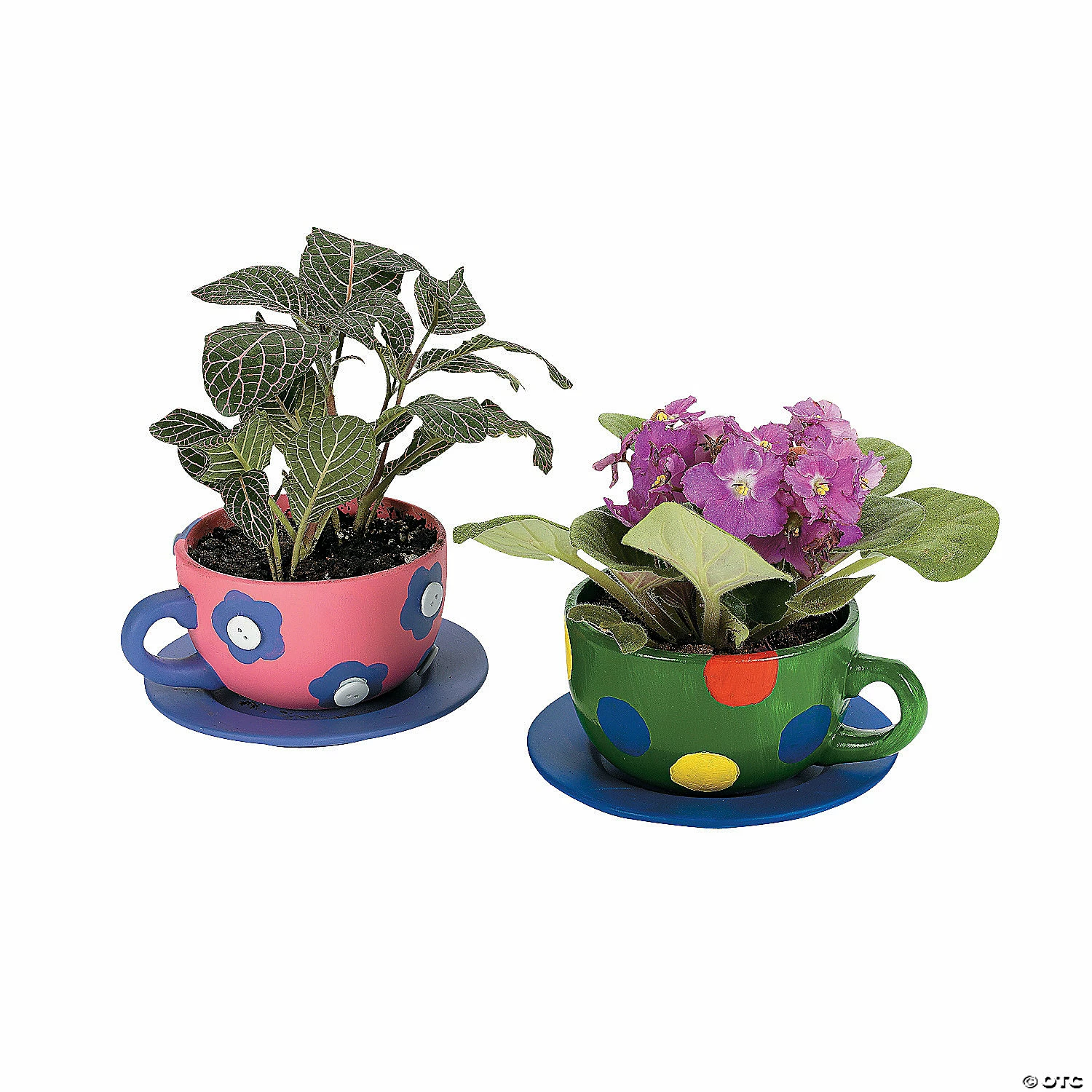 Best Pirce π DIY Ceramic Tea Cup Planters - 6 Pc. β€οΈ 4 Best Pirce π DIY Ceramic Tea Cup Planters - 6 Pc. β€οΈ - Image 2