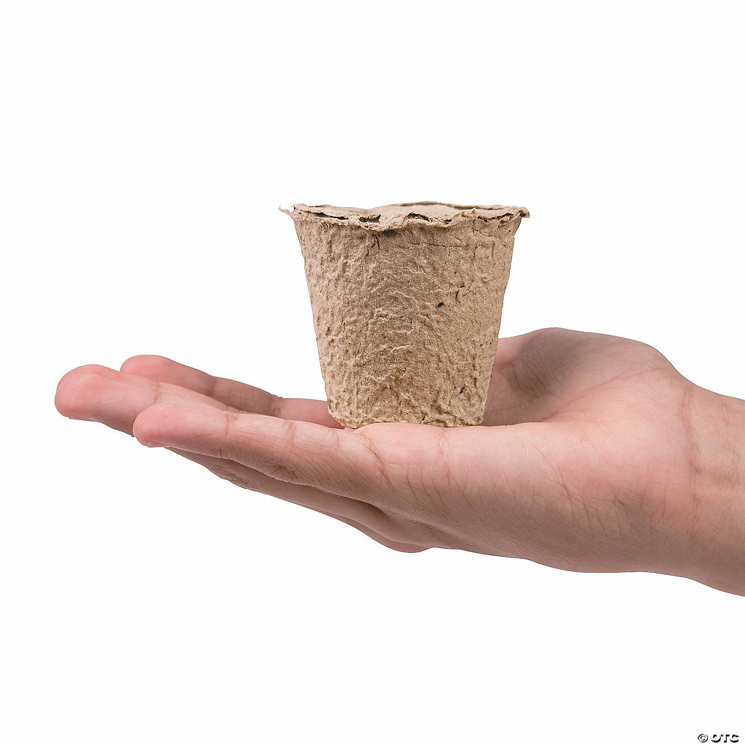 Best Pirce βοΈ DIY β Watch It Grow Seed Pots - 24 Pc. π€© 5 Best Pirce βοΈ DIY β Watch It Grow Seed Pots - 24 Pc. π€© - Image 3