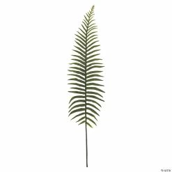 Best reviews of 👍 Fern Leaf Stems - 6 Pc. 🎁