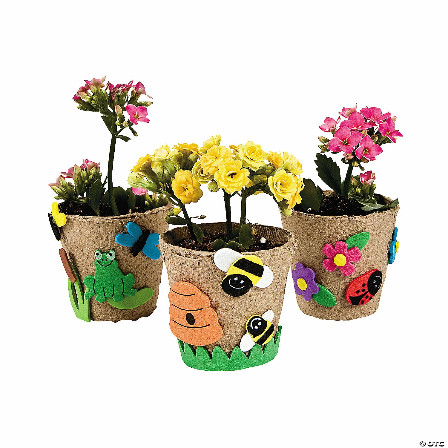 Discount π Garden Pot Craft Kit - Makes 12 π₯ 3 Discount π Garden Pot Craft Kit - Makes 12 π₯