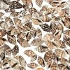 Budget 😀 Genuine Mini Sea Shells 👏 -Cheap Summer Crafts Store genuine mini sea shells48 1293