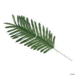 Best reviews of 𧨠Large Palm Leaves - 12 Pc. π