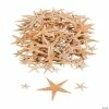 Best Sale 🎁 Mini Natural Sugar Starfish - 500 Pc. 👍 -Cheap Summer Crafts Store mini natural sugar starfish 500 pc 34 466