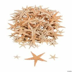 Best Sale π Mini Natural Sugar Starfish - 500 Pc. π