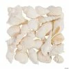 Brand new βοΈ Mixed Large White Sea Shells π€© 2 Brand new βοΈ Mixed Large White Sea Shells π€© -Cheap Summer Crafts Store mixed large white sea shells13933752