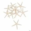 Brand new π Natural Bleached Finger Starfish - 12 Pc. π 2 Brand new π Natural Bleached Finger Starfish - 12 Pc. π -Cheap Summer Crafts Store natural bleached finger starfish 12 pc 13727292