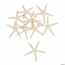 Brand new 🎁 Natural Bleached Finger Starfish - 12 Pc. 🛒