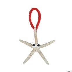 Brand new π Natural Bleached Finger Starfish - 12 Pc. π 7 Brand new π Natural Bleached Finger Starfish - 12 Pc. π -Cheap Summer Crafts Store natural bleached finger starfish 12 pc 13727292 a02