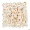 Hot Sale 𧨠Natural Clamrose Sea Shells π€© 1 Hot Sale 𧨠Natural Clamrose Sea Shells π€© -Cheap Summer Crafts Store natural clamrose sea shells48 1294