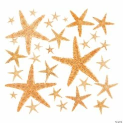 Best deal โจ Natural Starfish Assortment - 30 Pc. โค๏ธ