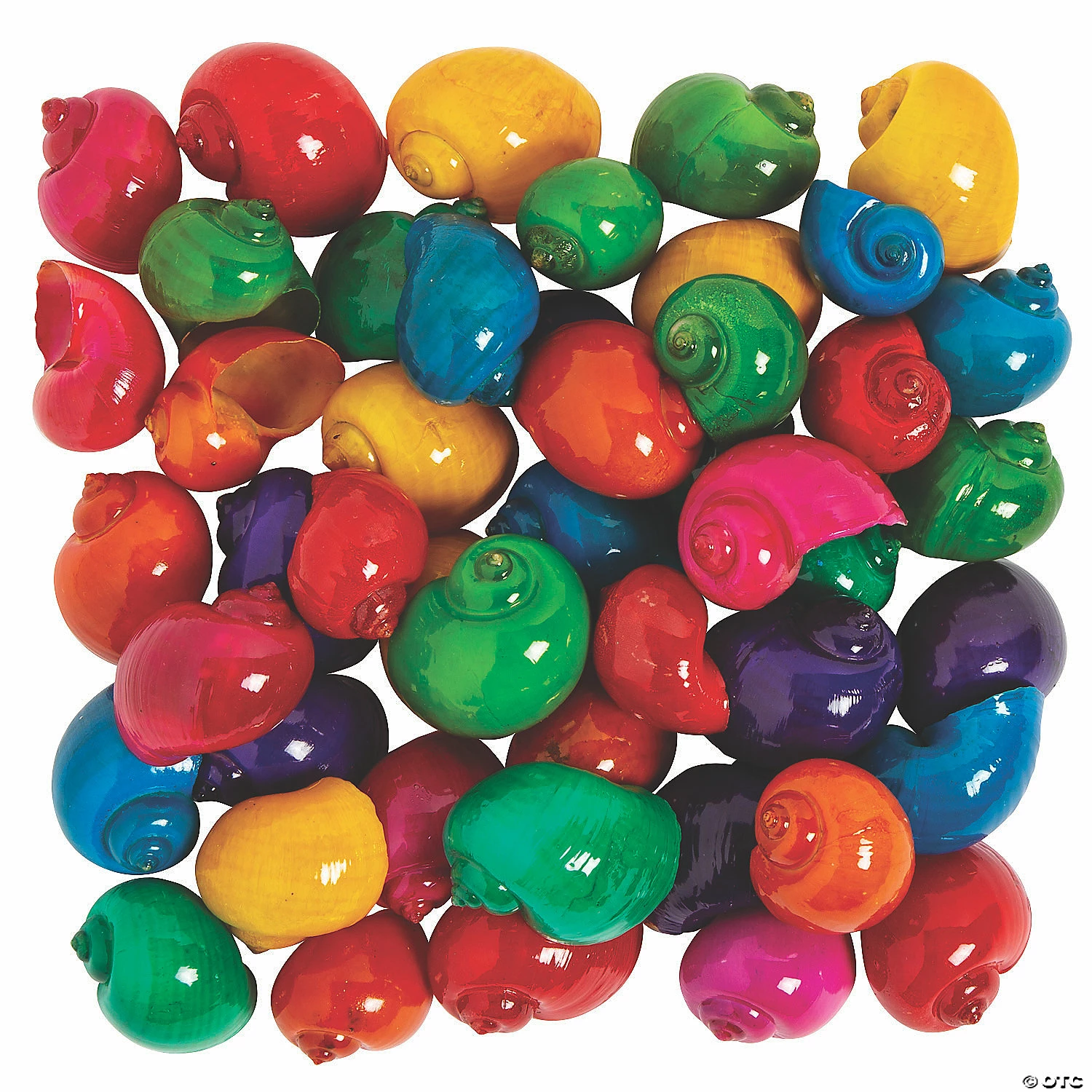 Coupon π― Shiny Spiral Sea Shells π 3 Coupon π― Shiny Spiral Sea Shells π