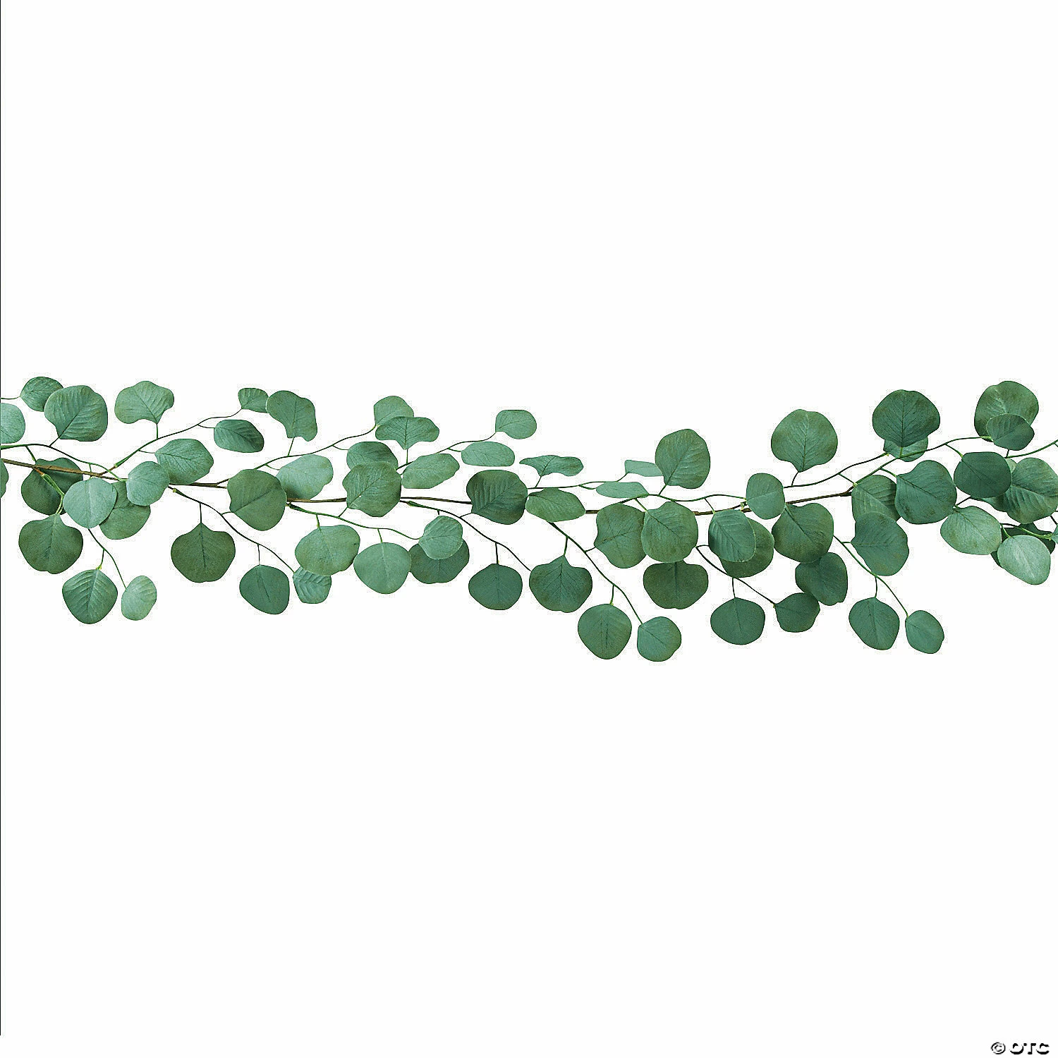 Best reviews of โค๏ธ Silver Dollar Eucalyptus Garland ๐ฅ 4 Best reviews of โค๏ธ Silver Dollar Eucalyptus Garland ๐ฅ - Image 2