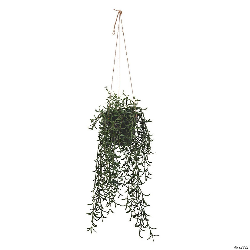 Buy ๐ Vickerman 22" Green Plastic Grass, comes in a Hanging Pot ๐ฅ 3 Buy ๐ Vickerman 22" Green Plastic Grass, comes in a Hanging Pot ๐ฅ