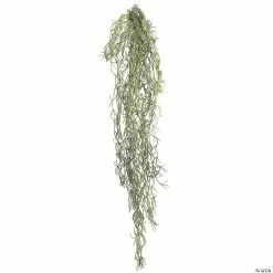 Discount 🎉 Vickerman 29.5" Artificial Green Tillandsia Root 😍